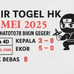 Syair Togel HK 12 Mei 2025 Kode Alam dan Mimpi Hari Ini - angkagaib.com