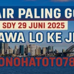 Syair Paling GG! SDY 29 Juni 2025 Bawa Lo ke JP Konohatoto78 - angkagaib.com