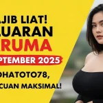 Wajib Liat! Keluaran Daruma 17 September 2025 Konohatoto78, Auto Cuan Maksimal! - keluaranterkini.com