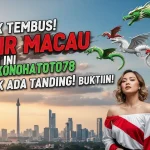 Fix Tembus! Syair Macau Hari Ini 20 Oktober 2025 Konohatoto78 Gak Ada Tanding! Buktiin! - keluaranterkini.com
